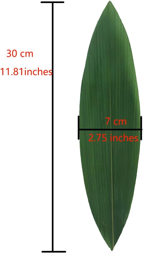 Fresh Edible Tapered Bamboo Leaves for Japanese Cuisine, Pastry, and Food Decor – Sushi Plates, Onigiri Decoration, Sushi Making Kit, 12″ x 3 12″,