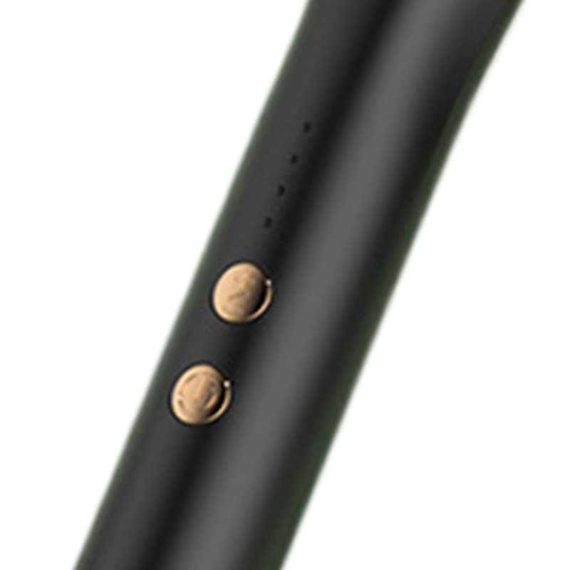 Peine alisador de cabello Termostato inteligente de iones negativos de doble uso para salón de casa Enchufe de EE. UU. 220V (negro)
