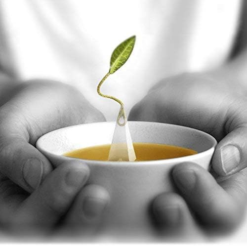 Tea Forte Caja de eventos de té blanco y pera, paquete a granel de 48 bolsitas de té con infusor piramidal para todas las ocasiones