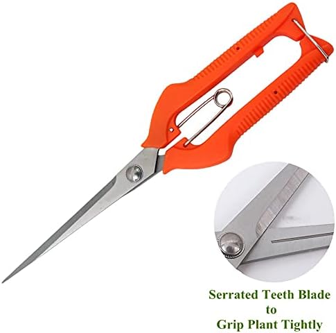 Podadora manual de jardinería de 9.8 pulgadas, tijeras de podar con hoja de acero inoxidable recta alargada, tijeras de micropunta para espacio