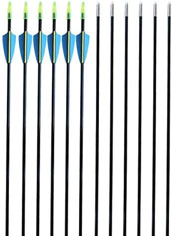 CQ Archery Fiberglass Target Practice Arrows 2830inch Recurve Bow Arrows for Beginners or Kids and Youth(12pcs)