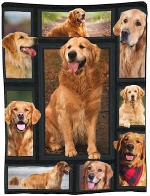 Lindo Clever Golden Retriever – Manta con estampado de perro dorado ultrasuave para el hogar, manta decorativa para sala de estar, cama, sofá