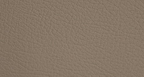 Asientos delanteros ShearComfort – Fundas de asiento de piel sintética personalizadas para Ford Focus (2013-2018) en color beige para cubos