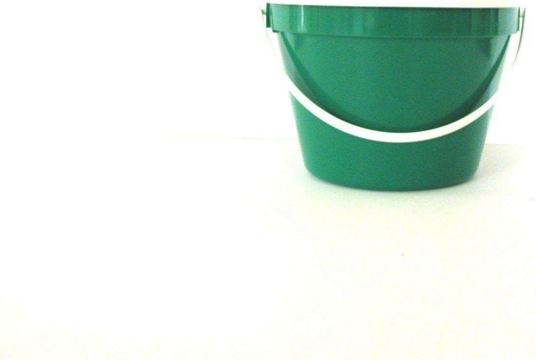 VBSQ – Cubo y tapa verde de 1 a 1 galón, cubos de plástico, cubos de limpieza, cubos de plástico, cesta de almacenamiento de cocina, cesta de