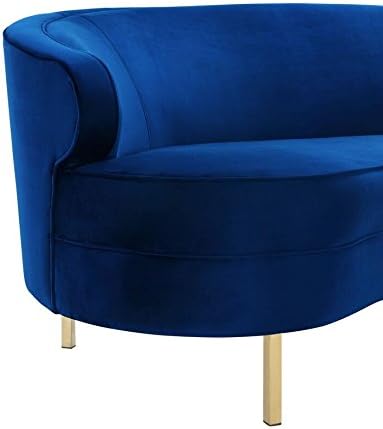 TOV Furniture The Baila Collection – Sofá curvo con tapicería de terciopelo de estilo moderno con patas de acero inoxidable, color azul marino