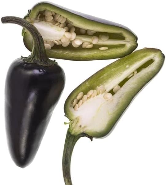 Pepper Joe’s Semillas de pimiento jalapeño morado  Paquete de 10 semillas de pimiento picante suave raras  Cultivadas en Estados Unidos  Semillas de