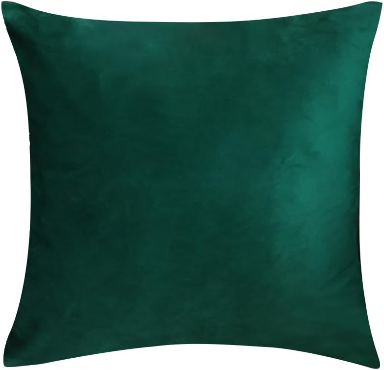AMZ-NATURALIFE Juego de 2 fundas de almohada de 16 x 16 pulgadas, terciopelo verde oscuro, fundas de cojín cuadradas decorativas suaves y sólidas,