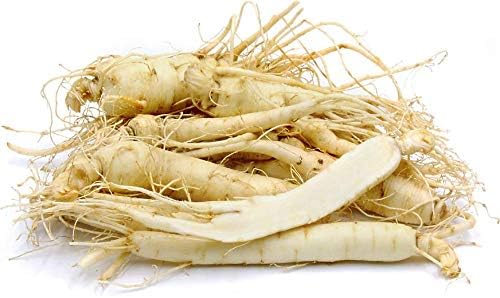 Dairyland – Raíces de ginseng americano fresco, 4 onzas de ginseng fresco de Wisconsin, directo del granjero al consumidor, ginseng de calidad