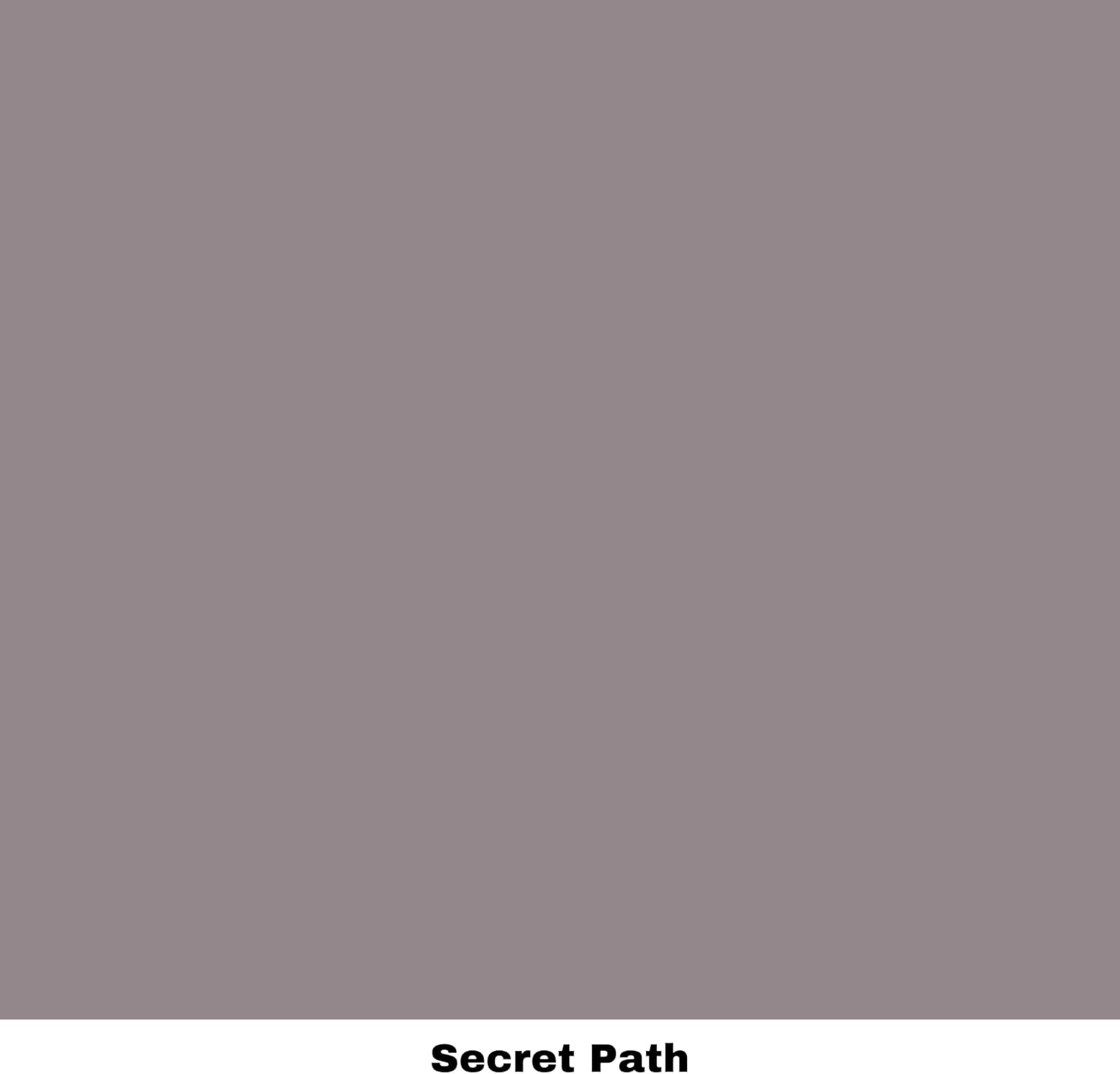 Dixie Belle Paint Company – Pintura con acabado de tiza para muebles, Secret Path (camino secreto), 4 fl oz, pintura mineral color lila polvoriento