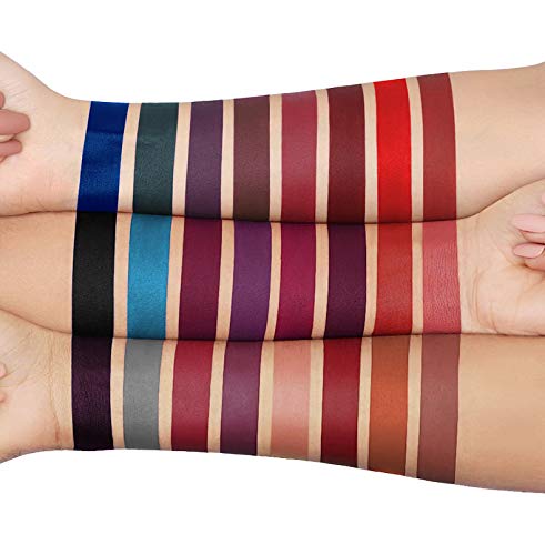Petansy Juego de 24 colores de lápiz labial líquido mate, impermeable, de larga duración, juego de brillo de labios, cosméticos de belleza, kit de