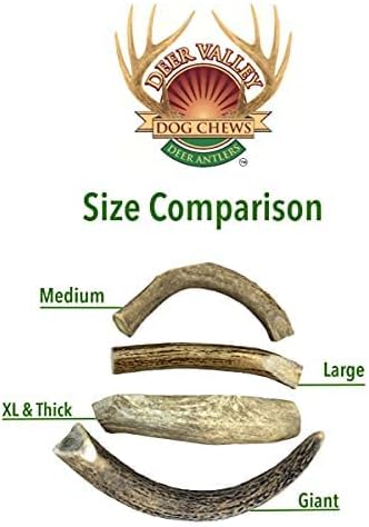 Deer Valley – Masticables para perros (individual gigante, de 8 a 10 pulgadas), cornamenta de ciervo de origen sostenible para razas extra grandes,
