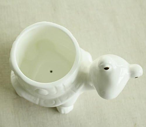 Maceta suculenta de animales para decoración de maceta para escritorio de oficina en casa (tortuga)