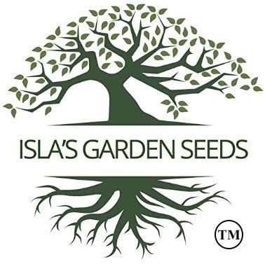 Semillas nacionales de pepino encurtido para plantar, más de 75 semillas tradicionales por paquete, semillas de jardín de Isla (semillas de jardín