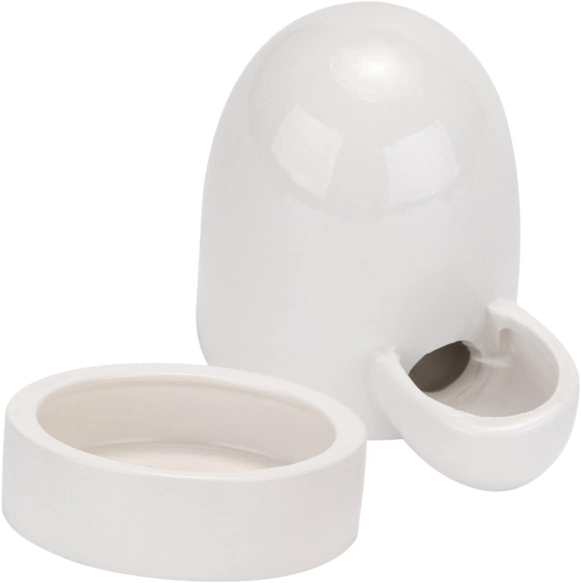 BESTOYARD 2 Sets Rutin Bebedor de Pollo Bebedor de aves de corral Bebedero de aves de corral Bebedero de agua para perros Lagarto Alimentador de