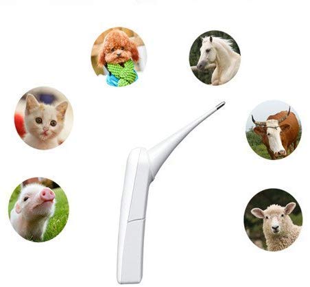 Termómetro para mascotas, termómetro veterinario digital rápido, termómetro para mascotas para perros, gatos, caballos, ganado, cerdos, pájaros,