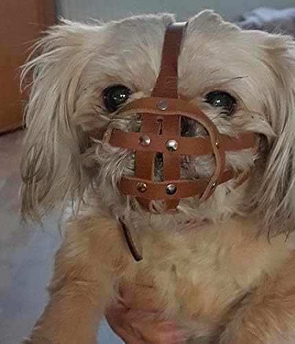 L&J Pets Uk Bozal para perro Shih Tzu, Pug y otros perros de hocico corto de cara plana (cuero marrón, MA 1)