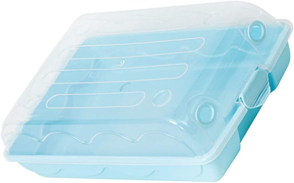 NOLITOY 1 caja de plástico para zapatos, ropa interior de mujer, zapatos de gimnasio para botas, contenedores de zapatos, organizador de cajones de