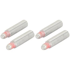 Carlson Tornillo de carcasa H5025 (paquete de 2) Carlson Tornillo de carcasa H5025 (paquete de 2)