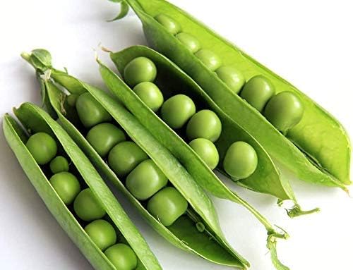 Lincoln Garden – Semillas de guisantes para plantar, más de 50 semillas tradicionales por paquete, semillas de jardín de Isla (semillas de jardín de