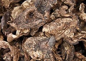 8 onzas (8.01 oz) de hongo seco Sarcodon Aspratus de Yunnan China