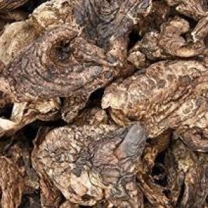 8 onzas (8.01 oz) de hongo seco Sarcodon Aspratus de Yunnan China 8 onzas (8.01 oz) de hongo seco Sarcodon Aspratus de Yunnan China