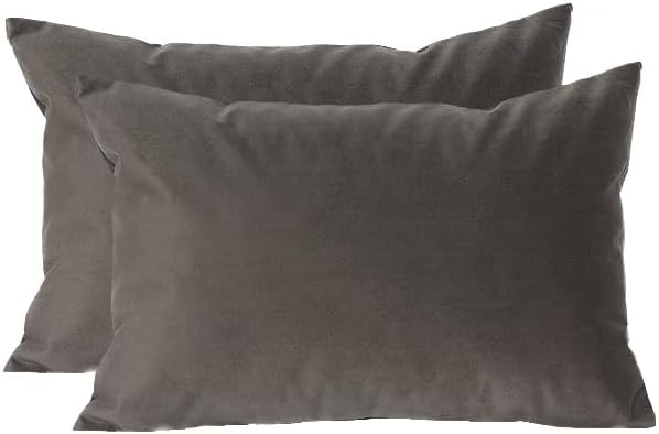 TangDepot Paquete de 2 fundas de almohada de terciopelo liso, fundas de almohada suaves y superlujosas, fundas de almohada lumbares, fundas de