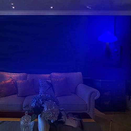 Luz nocturna LED azul, luz nocturna enchufable, luces nocturnas del atardecer al amanecer, para niños, adultos, dormitorio, baño, baño, escaleras,