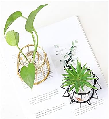 KOPee Nordic Golden Glass Vase Hydroponic Plant Vase Iron Art Flower Pot Desktop Home Decor Ornaments Personality Gift Modern jarrones (Color K,