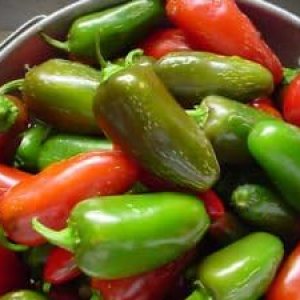 Seed Kingdom – Jalapeño picante picante (100 semillas) Seed Kingdom – Jalapeño picante picante (100 semillas)