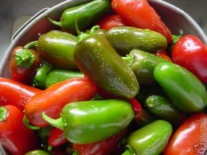 Seed Kingdom – Jalapeño picante picante (100 semillas)
