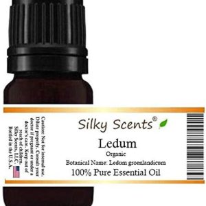 Ledum Aceite esencial orgánico (Ledum groenlandicum – Té Labrador – Musgo de Groenlandia) 100% puro y natural – 0.2 fl oz Ledum Aceite esencial orgánico (Ledum groenlandicum – Té Labrador – Musgo de Groenlandia) 100% puro y natural – 0.2 fl oz