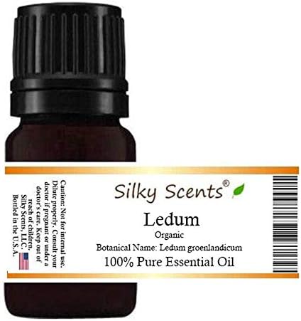 Ledum Aceite esencial orgánico (Ledum groenlandicum – Té Labrador – Musgo de Groenlandia) 100% puro y natural – 0.2 fl oz