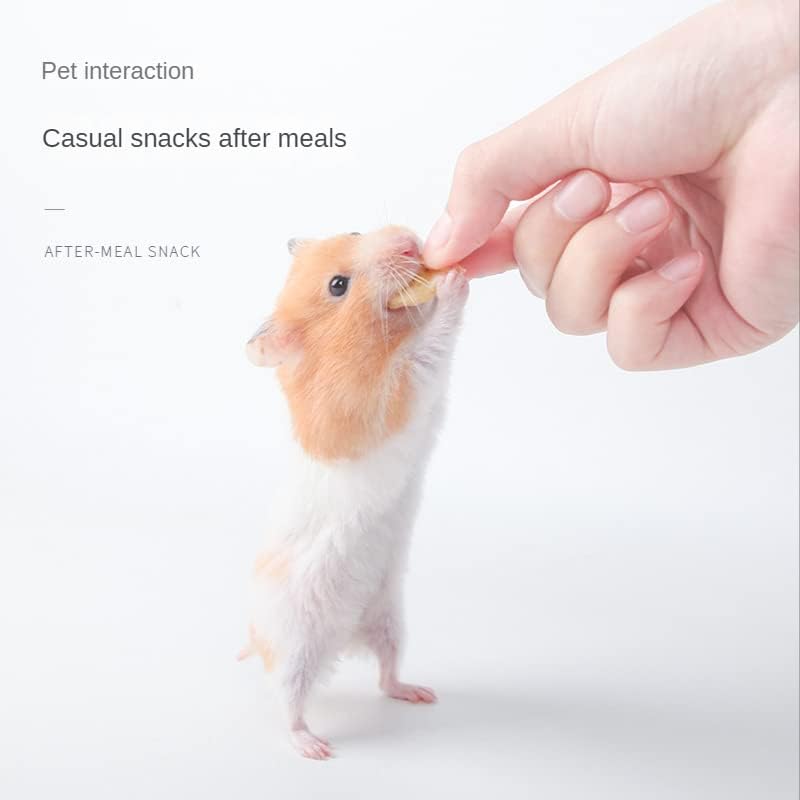 Hámster, erizo, lagarto, rana, pájaro, erizo, aperitivo, nutritivo, alimento para animales pequeños