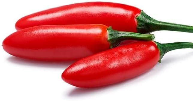 Pepper Joe’s Tampiqueno – Semillas de pimienta serrano  Paquete de más de 10 semillas de pimiento mexicano caliente  Cultivadas en Estados Unidos