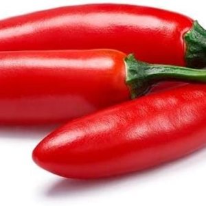 Pepper Joe’s Tampiqueno – Semillas de pimienta serrano Paquete de más de 10 semillas de pimiento mexicano caliente Cultivadas en Estados Unidos Pepper Joe’s Tampiqueno – Semillas de pimienta serrano Paquete de más de 10 semillas de pimiento mexicano caliente Cultivadas en Estados Unidos