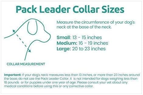 Cesar Millan Pack Leader Collar – Collar de entrenamiento del perro susurrador (grande, azul)