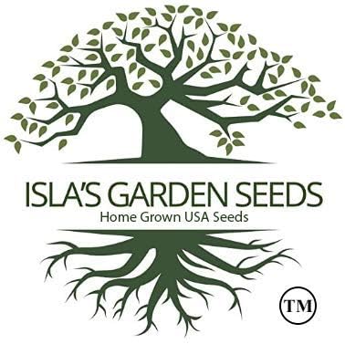 Semillas de guisantes de nieve gigantes de Oregon para plantar, más de 25 semillas de reliquia por paquete, semillas de jardín de Isla (semillas de