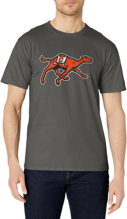Campbell University Fighting Camels Camiseta Primaria Desgastada, Gris