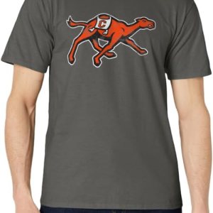 Campbell University Fighting Camels Camiseta Primaria Desgastada, Gris Campbell University Fighting Camels Camiseta Primaria Desgastada, Gris
