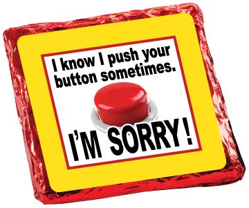 I’M SORRY – GRAHAMS CUBIERTOS DE CHOCOLATE “COOKIE TALK” – 6PC