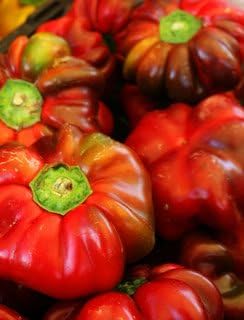 100 Pimiento Pimiento (rojo dulce PimientioItalianelleQueso, Asado, Freír Pimienta) Capiscum Annuum