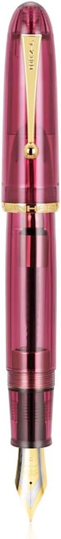 JinHao 9019 – Pluma estilográfica, punta fina de iridio con convertidor, color rojo vino transparente, estilo acrílico, gran capacidad de tinta