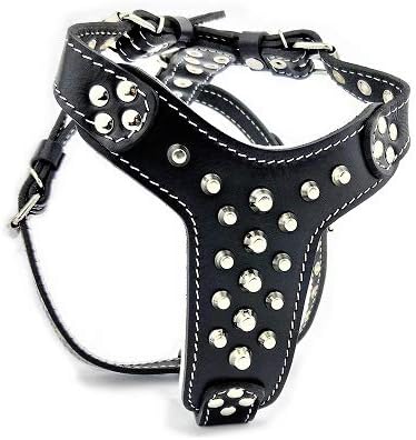 Bestia Arnés de cuero con tachuelas. Talla Bulldog Francés. 100% cuero. Hecho a mano en Europa