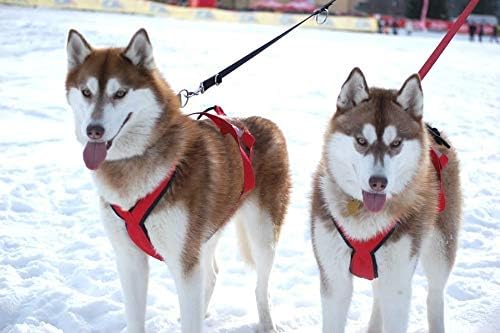 Arnés de trineo profesional de Neewa, arnés para tirar, arnés Husky, arnés de Mushing, arnés X Back para perro ejercicio, ciclismo, esquí, trineo