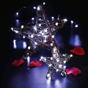 ZNYCYE Guirnalda de 50 luces LED con temporizador, 6 unidades de 8.2 pies, 8 modos, funciona con pilas, mini tira de luces LED para bricolaje, boda,