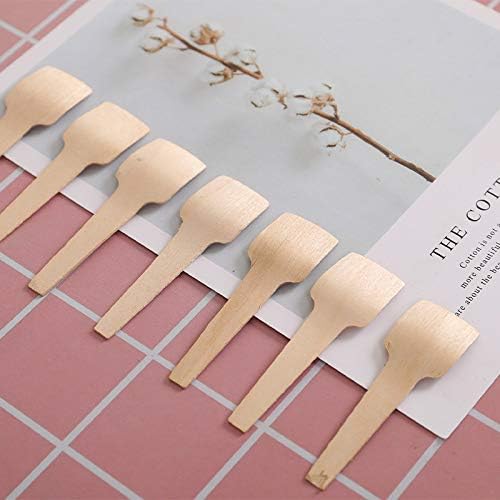 Bekith Paquete de 400 mini cucharas de madera, cuchara desechable de 2-34 pulgadas para manualidades, exfoliantes de azúcar orgánico, degustación y
