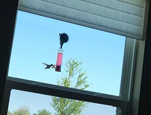 Paquete de 2  Accesorio de ventosa de montaje en ventana para mini comederos de colibríes, colgador de comedero de pájaros de ventana, campanillas