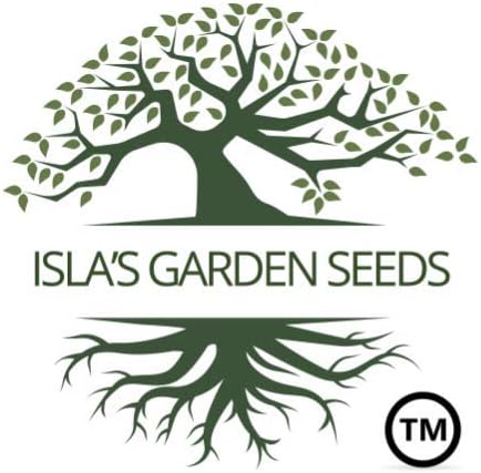 Garden Sweet – Semillas de pepino sin eructos para plantar, más de 50 semillas de reliquia por paquete, semillas de jardín de Isla (semillas de