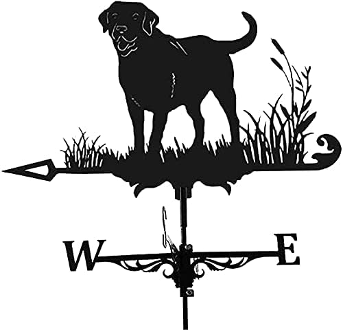 Alnicov Veleta de metal animal, veleta negra vintage, indicador de dirección del viento hueco para decoración de techo de jardín al aire libre