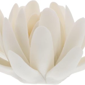 1pc Lotus – Placa de incienso decorativa para incienso, cono de porcelana, plato de incienso de cerámica, cerámica, cerámica, soporte de incienso de 1pc Lotus – Placa de incienso decorativa para incienso, cono de porcelana, plato de incienso de cerámica, cerámica, cerámica, soporte de incienso de